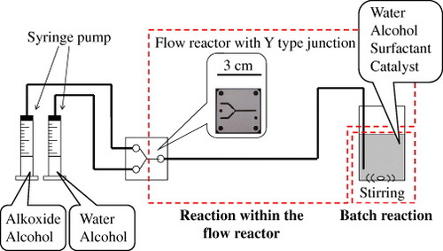 Figure 3. Illustration of an experimental setup using the flow reactor.
