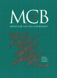 Cover image for Molecular and Cellular Biology, Volume 14, Issue 8, 1994
