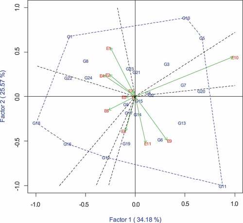 Figure 3. GGE biplot showing which-won-where pattern of the 24 normal and biofortified inbred lines (G) evaluated over across 11 environments.