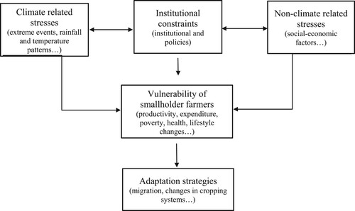 Figure 1. A conceptual framework for climate variation impacts on smallholder farmers (Source: Adapted from Morton Citation2007; Owusu, Obour, and Asare-Baffour Citation2015; Black et al. Citation2011).