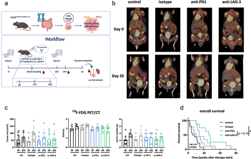 Figure 1. Workflow, 18F-FDG PET/CT imaging in vivo, and overall survival of Msh2loxP/loxP;TgTg(Vil1-cre) mice treated with ICIs.