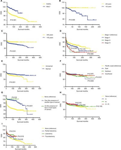 Figure 1 Relationship between DSS rate and clinicopathological features among different PTL subtypes.Note: (A) Patients with MALT have better DSS compared with patients with DLBCL. (B) Older age (P=0.006) could significantly shorten the DSS of patients with MALT. (C–G) Lower DSS rate was associated with older age (P<0.001), clinical stage of IV (P=0.009), unmarried status (P<0.001), residence in a northern region (P=0.031), and presence of a single lymphoma (P<0.05) in patients with DLBCL. (H) Surgery alone (P=0.018) or combined surgery and radiotherapy (P=0.006) could markedly improve the DSS rate of DLBCL patients. (I) Aggressive surgical treatments, including thyroid lobectomy (P=0.014) and near-total/total thyroidectomy (P=0.019), could significantly prolong the DSS of DLBCL patients.Abbreviations: DLBCL, diffuse large B-cell lymphoma; DSS, disease-specific survival; MALT, extranodal marginal zone B-cell lymphoma of the mucosa-associated lymphoid tissue; PTL, primary thyroid lymphoma.