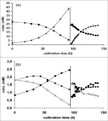 Figure 1. Release and uptake of metabolites: (A) (▪) glucose, (▴) lactate; (B) (○) total glutamine, (•) glutamine without chemical decomposition and (▪) ammonium during growth of MDCK cells on microcarriers in a 5 L stirred bioreactor (0–92 h) and during influenza virus production after medium exchange (96–140 h). Adapted from Genzel et al.Citation19