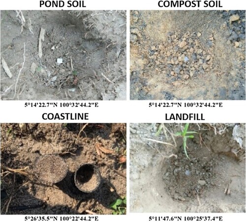Figure 1. The photos of four different site locations for soil biodegradability with Global Positioning System (GPS) coordinates.