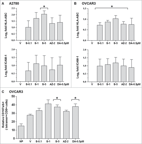 Figure 5. SGI-110 enhances HLA-ABC and ICAM-1 expression, and NY-ESO-1-specific CD8+ T cell immune recognition, in EOC cells treated in vitro. OVCAR3 and A2780 cells were treated with SGI-110, DAC, or AZA, and expression of (A) HLA-ABC and (B) ICAM-1 were determined by flow cytometry. Data represent the Log2 transformation of [median fluorescence intensity (MFI) of treatment / MFI of vehicle control]. (C) OVCAR3 cells were treated with SGI-110, DAC, or AZA at the concentrations shown. Following treatment, cells were cultured with NY-ESO-1 specific, HLA compatible CD8+ T cell clones derived from ovarian cancer patients and relative CD107a/b expression was determined. All experiments were repeated 3 independent times. *P < 0.05 vs. vehicle, NP-No peptide control.