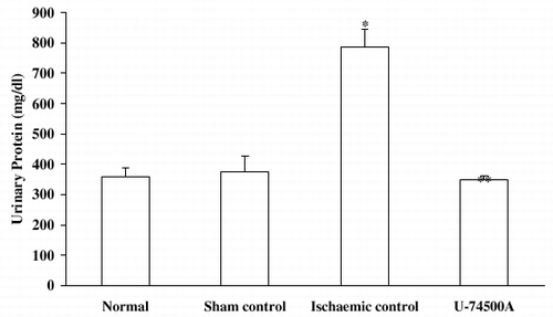 Figure 6. Effect of U-74500A on proteinuria in rats subjected to ischemia-reperfusion. Values expressed as mean ± SEM. *p<0.05 as compared to control group, **p<0.05 as compared to ischaemic control group (One-way ANOVA followed by Dunnett's test).