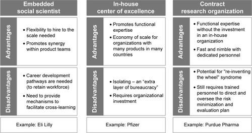 Figure 2 Organizational models for pharmaceutical risk minimization staffing.