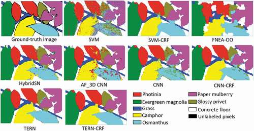 Figure 8. The classification results for the tree leaves dataset.