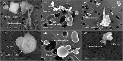 Figure 5. Scanning electron micrograph of typical S-containing particles on Nucleopore filters collected in EH (a, c, d) and Pit 1(b, e, f).