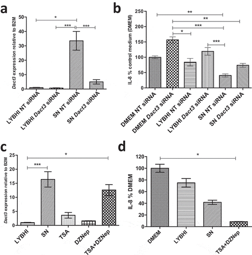 Figure 3. Modulation of Dact3 expression in TNF-α-stimulated HT-29 cells under different conditions. (a) Dact3 expression and (b) IL-8 production by HT-29 cells transfected with either Dact3 or non-targeting (NT) siRNA and treated with both F. prausnitzii SN and TNF-α. Dact3 expression was analyzed by RT-qPCR and IL-8 production by ELISA. Results are represented as the FC of Dact3 expression relative to LYBHI with NT siRNA and IL-8 have been normalized to DMEM medium (used as a control) under NT siRNA conditions (values for DMEM+TNF-a conditions were set to 100%). (c) Dact3 expression and (d) IL-8 production by TNF-α-stimulated HT-29 cells co-incubated with 0.5 µM of TSA or 12.5 µM of DZNep, or both. Results are represented as the FC of Dact3 expression relative to LYBHI and IL-8 values have been normalized to control DMEM. All experiments were performed in triplicate. Non-parametric Kruskal-Wallis and Dunn’s post hoc test *p < .05; **p < .01; ***p < .001