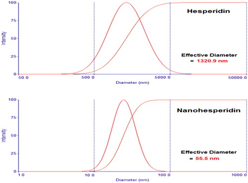 Figure 7. Particle size analysis of (A) pure hesperidin and (B) modified nanohesperidin loaded in PLGA- Polixamar 407.