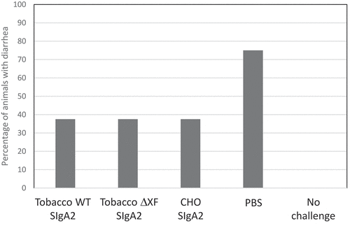 Figure 4. In vivo protection against ETEC challenge. Groups of 8 mice were inoculated with ~1x109 Escherichia coli (H10407) mixed with 68–61 SIgA2 produced in N. benthamiana WT, ΔXF SIgA2 or CHO cells, or PBS only. In addition, a group of 12 mice were untreated and not infected. The percentage of mice developing diarrhea within 7 d is shown. Diarrhea was defined as unformed or watery stools occurring on any day of daily observations in each mouse