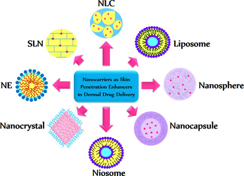 Figure 3 Nanoparticles as novel topical drug delivery system (TDDS) used to improve skin penetration, dermal and transdermal delivery.