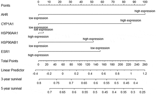 Figure 7. Nomogram of factors associated with survival time in cervical cancer patients