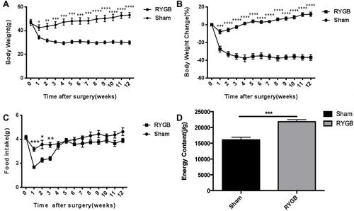 Figure 2 RYGB led to durable weight loss and increased fecal energy loss. (A) Absolute body weight significantly lower in RYGB group after surgery; (B) percentage change in body weight significantly higher in RYGB group after surgery; (C) food intake significantly reduced in RYGB group at postoperative weeks 1, 2, and 3, and increased to same level as sham group at weeks 4 and thereafter; (D) fecal energy significantly higher in RYGB group at postoperative week 12. Values are means ± SEM. Statistical differences analyzed by one-way ANOVA followed by Student’s t-test. *P<0.05 vs sham; **P<0.01 vs sham; ***P<0.001 vs sham; ****P<0.0001 vs sham.
