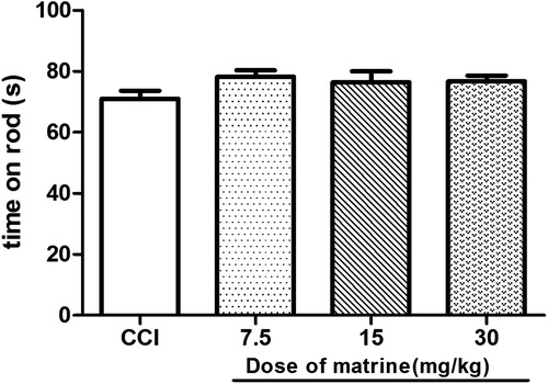 Figure 6. Effects of matrine on motor coordination test. Effects of matrine of different dosage on motor coordination test after chronic constriction of sciatic nerve, compared with the CCI group. Data are expressed as mean ± SEM, n = 10 per group.