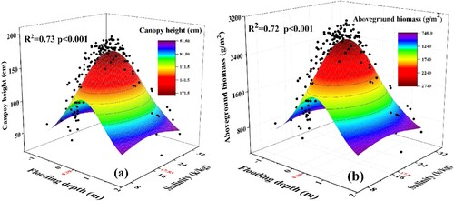 Figure 6. The height (a) and aboveground biomass (b) of S. alterniflora along the interaction of inundation and soil salinity.