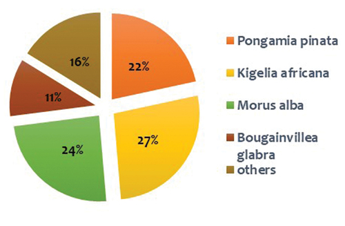 Figure 5. Percentage composition of leaf litter in the university ridge, Delhi.