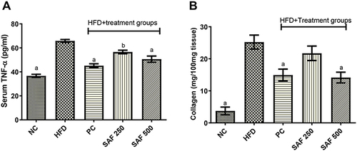 Figure 6 Effects of safranal on serum tumor necrosis factor-α (TNF-α) (A), and hepatic collagen levels (B). Results are expressed as mean± SEM (n=6) and statistically significant as compared to disease control (DC) group by using one-way method of ANOVA following the Dunnett’s test. Where ap<0.001 and bp<0.01.