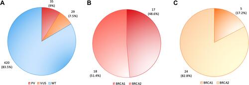 Figure 2 BRCA1 and BRCA2 mutation analysis of 389 breast cancer patients. (A) Distribution of pathogenic variants (PVs) (red), variants of uncertain significance (VUS) (Orange) and WT (blue) in 389 patients with breast cancer; (B) 35 (9%) out of 389 breast cancer individuals showed BRCA1/2 pathogenic variants (PVs). Among them, 17 (48.6%) were BRCA1 PV carriers (dark red), while 18 (51.4%) were BRCA2 carriers (light red); (C) 29 (7.5%) out 389 subjects harboured VUS, 5 (17.2%) in BRCA1 gene (dark orange) and 24 (82.8%) in BRCA2 gene (light orange).