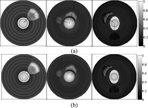 Figure 17. OAC images provided by the two-step algorithm. (a) L-M optimization; (b) Bregman optimization.