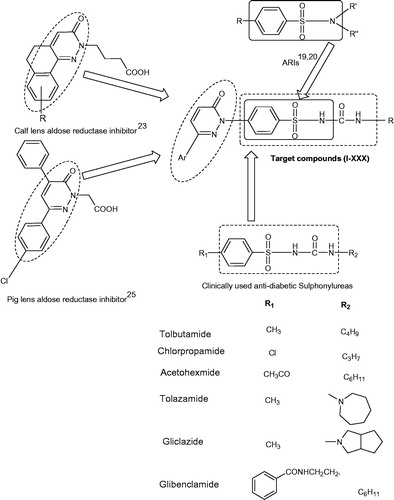 Figure 2. Structures of clinically used antidiabetic drugs and pyridazinone derivatives reported as aldose reductase inhibitor. Rationally designed template for targeted compound (I–XXX).