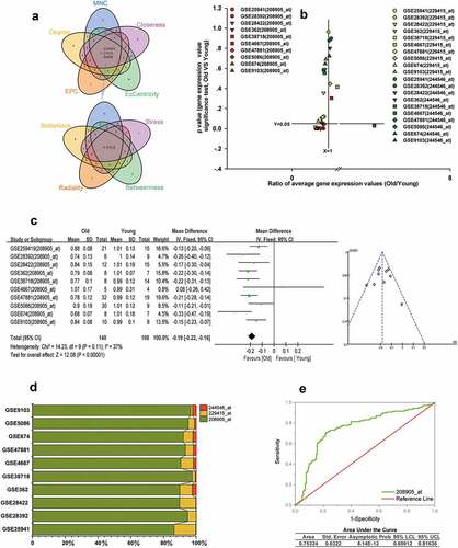 Figure 8. CYCS is the hub gene of ALRGs in human skeletal muscle. (a) The candidate hub gene of ALRGs in GSE47881 dataset by nine topological algorithms from CytoHubba of Cytoscape software. (b) A scatter plot between old/young ratio of average relative expression of CYCS (208905_at, 229415_at and 244546_at transcripts) and P-value significance in different GSE skeletal muscle datasets. (c) Meta-analysis of multiple studies on the difference of expression values of 208905_at transcript in skeletal muscle between old and young people. (d) The 208905_at transcript expression takes the largest proportion of CYCS transcripts in each GSE skeletal muscle dataset. (e) ROC curves for relative values of 208905_at expression between old and young people based on the GSE skeletal muscle datasets