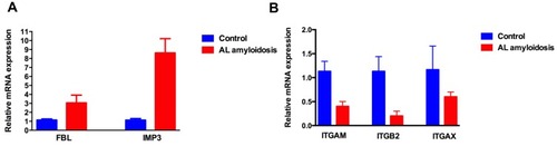 Figure 5 The expression of key genes in AL amyloidosis patients’ clonal plasma cells. (A) FBL and IMP3 were up-regulated in AL amyloidosis patients compared with healthy control; (B) ITGAM, ITGB2  and ITGAX were down-regulated in AL amyloidosis patients compared with healthy control.