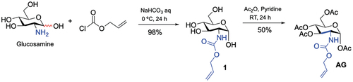 Scheme 1. Synthesis of N-alloc glycosamine monomer (N-alloc glucosamine, AG) from glucosamine.