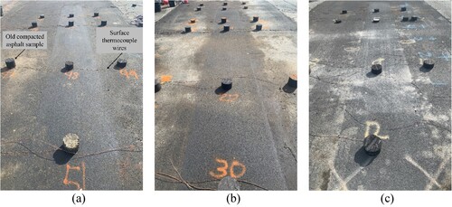 Figure 10. Images of test strips after HVS loading: (a) Test strip I, (b) Test strip II, (c) Test strip III.