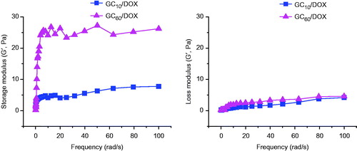 Figure 2. Storage/loss moduli of GC10/DOX and GC60/DOX by visible light irradiation for 10 or 60 s measured by rheometer as a function of frequency from 0 to 100 rad/s. Error bars represent mean ± SD (n = 3).