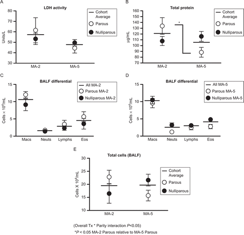 Figure 2.  BALF characteristics. BALF LDH activity, total protein concentration, and total and differential cell counts in mice sensitized before breeding with or without exposure during pregnancy. Data shown are expressed as mean ± SE. Parous MA-2 n = 6; Nulliparous MA-2 n = 6; Parous MA-5 n = 5; Nulliparous MA-5 n = 10.