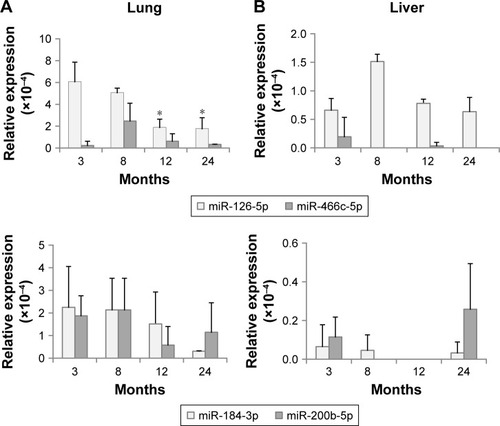 Figure 3 Expression of differentially expressed miRNAs in tissues, determined using droplet digital PCR.Notes: (A) Expression in the lungs; (B) Expression in the liver. The statistical significance was determined by comparison with the expression at 3 months. *P<0.05.