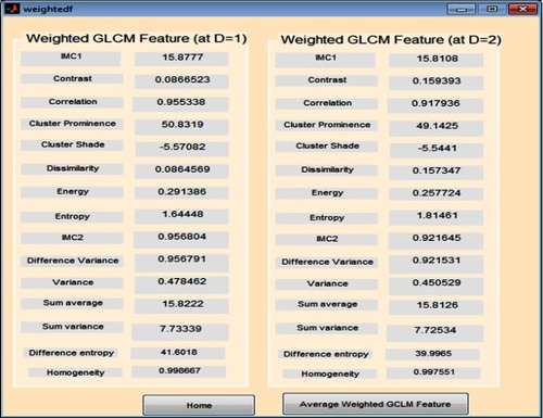 Figure 6 Weighted gray level co-occurrence matrix (GLCM) features computed at distances 1 and 2.