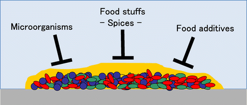 Fig. 2. Schematic model of control of biofilm.