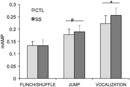 Figure 5. Mean (+/− SEM) current amplitude that elicited behaviours of flinch/shuffle, jump, and sonic vocalization. There were no significant differences between CTL and SS female rats in current amplitude necessary to elicit each behavior. Jumps occurred at significantly higher current amplitudes than flinch/shuffle (#p < 0.0001), and sonic vocalizations occurred at significantly higher current amplitudes than jumps (*p = 0.008).