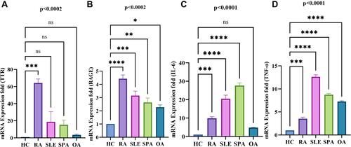 Figure 8 Differential gene expression analysis of TTR, RAGE, pro-inflammatory cytokine (IL-6, TNF-α) in RA, SLE, and SPA PBMCs by qRT-PCR. The altered gene expression was analyzed in RA (n=10), SLE, SpA (n=3 each) PBMCs compared to HC (n=10). (A) Shows the gene expression of TTR significantly increased in RA compared to SLE, SPA and OA PBMCs compared to HC, respectively. (B) Shows the increased gene expression of RAGE significantly in RA compared to SLE, SpA and OA. (C and D) Shows the increased pro-inflammatory cytokines IL-6 significantly in RA, SLE, SpA but non-significant (ns) in OA compare to HC respectively whereas TNF-α was found to be significantly increased in all compare to HC PBMCs. The data were normalized with β–actin and/or GAPDH as an internal loading control. Values are presented as the mean ± SEM. The significance level indicates *p < 0.05; **< 0.01, ***< 0.001 and ****< 0.0001, ns = non-significant, analyzed by one-way ANOVA.