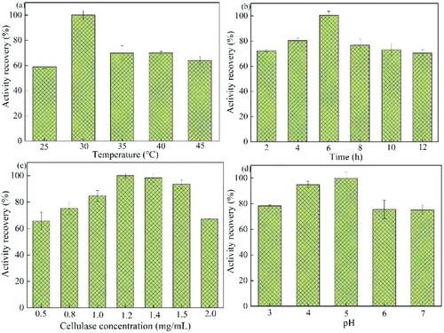 Figure 1. Effect of Cellulase@MIL-88B(Fe) preparation conditions (a) temperature, (b) time, (c) cellulase concentration, and (d) pH.