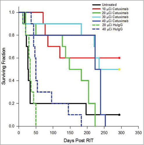 Figure 3. Effect of increasing doses of 212Pb-cetuximab. Kaplan-Meier survival curves of mice (n = 10) bearing i.p. LS-174T tumor xenografts and treated with increasing doses of i.p. injected 212Pb-cetuximab (10, 20, 30 and 40 μCi) or the control antibody, 212Pb-HuIgG (20 and 40 μCi) and compared to a group of mice that were not treated.