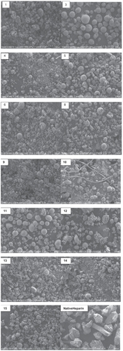 Figure 1 Scanning electron micrographs of spray-dried microparticles and native heparin. (Magnification 200X. scale corresponds to 200 μm) Note: no particles obtained for run no.’s 2 and 7.