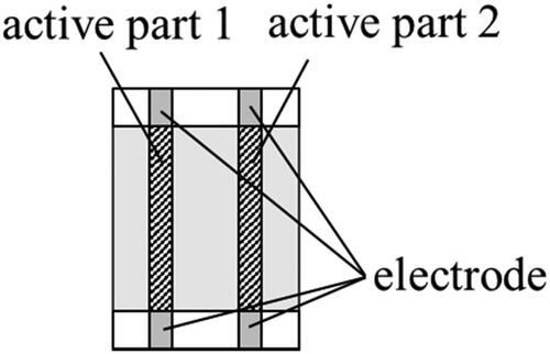 Figure 33. Device structure under study [Citation55] (©2024 JJAP).