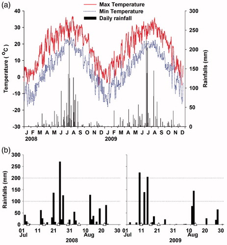 Figure 2. Temperature and rainfall changes during the study period (a) and rainfall events during the rainy season in 2008 and 2009 (b) (Triangles show sampling dates on July 4, 14, 23 and 29 and August 5 and 21 in 2008; July 10, 16 and 21 and August 13 in 2009).