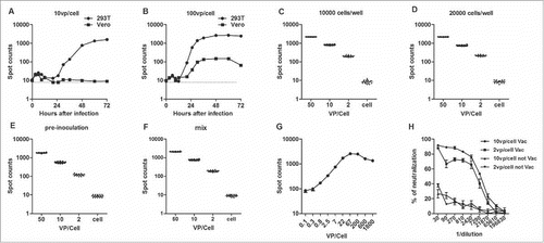 Figure 1. Optimization of the Ad2–EGFP neutralization assay. (A–B) HEK 293T and Vero cells were infected with the Ad2–EGFP virus at 10 vp/cell (A) or 100 vp/cell (B) in the neutralization assay. The x-axis indicates the hours after Ad2–EGFP infection and the y-axis indicates the counts of EGFP-positive cells. The dotted line represents the background level of cells. (C–D) Determination of 293T cell density. The x-axis indicates different doses of Ad2–EGFP that were added to 104 cells/well (C) or 2 × 104 cells/well (D) in a 96-well plate. The y-axis show the numbers of EGFP-positive cells after incubation for 48 h. (E–F) Influence of 293T cells seeded in a 96-well plate 1 day before the addition of the Ad2 virus. The x-axis indicates the different doses of Ad2–EGFP, and the y-axis show the numbers of EGFP-positive cells after incubation for 48 h with preinoculation (E) or mixing (F). (G) Dose–response between the Ad2–EGFP input and the numbers of EGFP-positive cells. The x-axis indicates the viral concentration (0.1–1800 vp/cell) added to 2 × 104 cells/well. The y-axis show the numbers of EGFP-positive cells after incubation for 48 h. (H) Two different concentrations of Ad2–EGFP (•, ▴, 10 vp/cell; ▪, ▾, 2 vp/cell) were used with various concentrations of mouse serum in the neutralization assay. The experiment was performed with mouse serum collected before (▴, ▾) and 1 week after (•, ▪) the second vaccination with Ad2. The x-axis indicates the different concentrations of mouse serum, and the y-axis indicates the percentage neutralization. Each data point represents the average of 3 experiments.