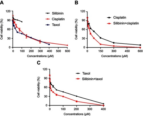 Figure S1 Silibinin sensitize the antitumor activity of cisplatin and/or taxol on A2780/DDP cells in the whole concentration.Notes: (A) Cell viability of silibinin, cisplatin or taxol treated A2780/DDP cells was determined by MTT assay for 48h. (B) The A2780/DDP cells were treated with cisplatin, and silibinin (50μCM) plus cisplatin (indicated concentration) for 48h, and then the cell viability was determined by MTT assay. (C) The A2780/DDP cells were treated with taxol, and silibinin (50μM) plus taxol (indicated concentration) for 48h, and then the cell viability was determined by MTT assay. The results were shown as the percentage of cell viability in control group. The Bar chart of all data represents mean ± SD of three independent experiments.