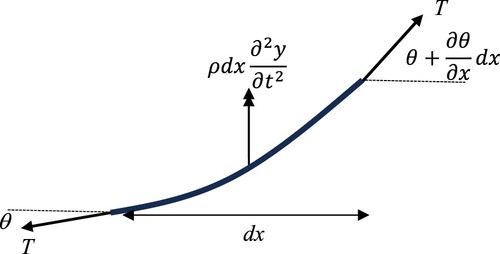 Figure 2. Free body diagram for a portion of the guitar string.