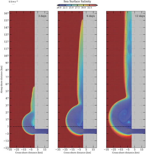 Figure 11. Sea surface salinity at three different time steps – high discharge configuration. The black dashed line represents zonal vertical sections shown hereafter. (Colour online)