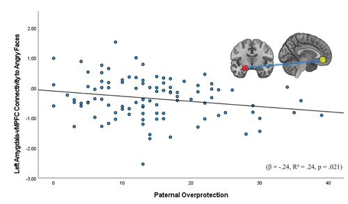 Figure 5. Association between adolescent-reported paternal overprotection and left amygdala-vMPFC connectivity to angry faces.