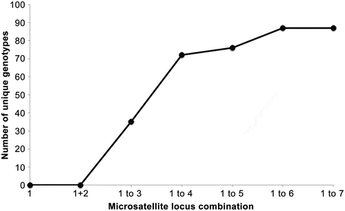 Fig. 2. Number of unique genotypes when considering from one and up to seven microsatellites of the data set. Whereas all isolates shared genotypes for at least two loci, no isolate shared more than five of the analysed seven microsatellites indicating the great variation even within isolates from a single bucket of seawater.