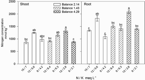 Figure 2. Effect of nitrogen (N) and potassium (K) balance and concentration in the nutrient solution on shoot and root N concentration of lisianthus plants.