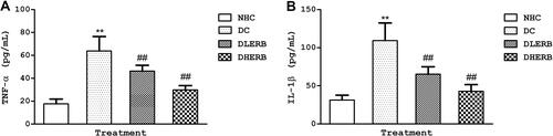 Figure 4 Effect of EBR on alleviating serum proinflammatory cytokines in DPN rats. (A) Tumor necrosis factor alpha (B) interleukin 1 beta. Data was presented as the mean ± SD (n = 6). **P<0.05 vs HNC group, ##P<0.05 vs DC group.